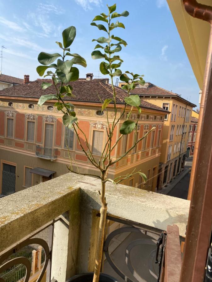 Loft Manzoni 37 Lägenhet Cremona Exteriör bild